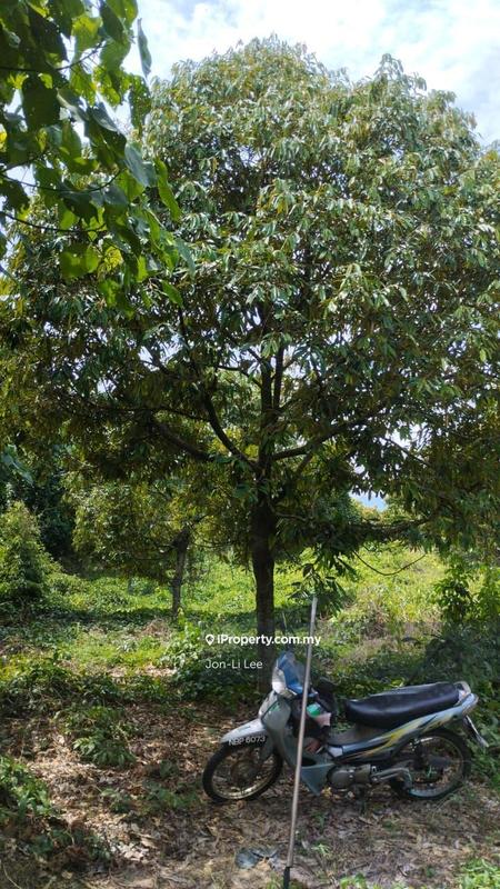 Agricultural Land for Sale in Karak, Simpang Pertang by Jon-Li Lee - iProperty.com.my