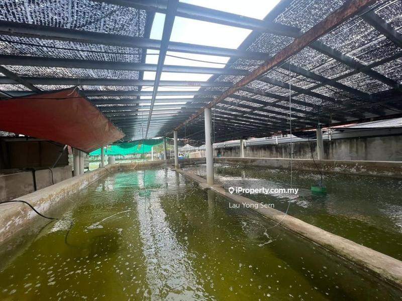 3-storey Terraced House for Sale in Bedong, Bedong by Lau Yong Sern - iProperty.com.my