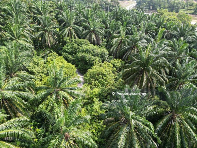 Tanah Kediaman untuk Dijual di Bukit Damar, Dengkil oleh Azizirrahim - iProperty.com.my