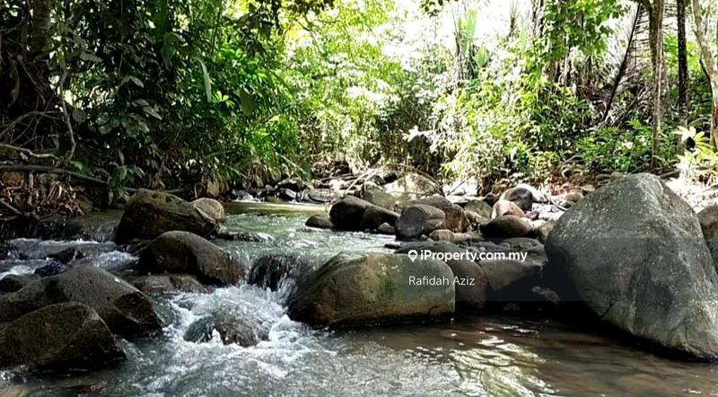 Tanah Pertanian untuk Dijual di Janda Baik, Bentong oleh Rafidah Aziz - iProperty.com.my