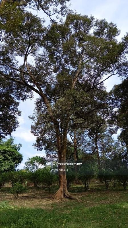 Agricultural Land for Sale in Antara Gapi, Ulu Yam by Amanda Ng - iProperty.com.my
