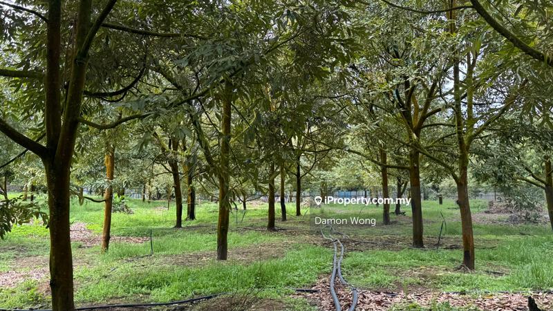 Agricultural Land for Sale in Cinta Manis, Karak by Damon Wong - iProperty.com.my