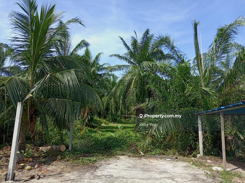 Tanah Pertanian untuk Dijual di Nibong Tebal, Penang oleh Kelly Yee - iProperty.com.my