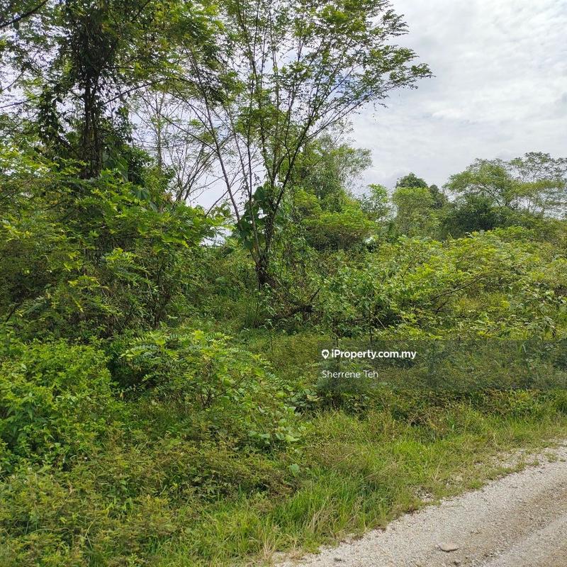 For Sale - 1/ 1.6/ 2 acre FH Agri land zone Industrial