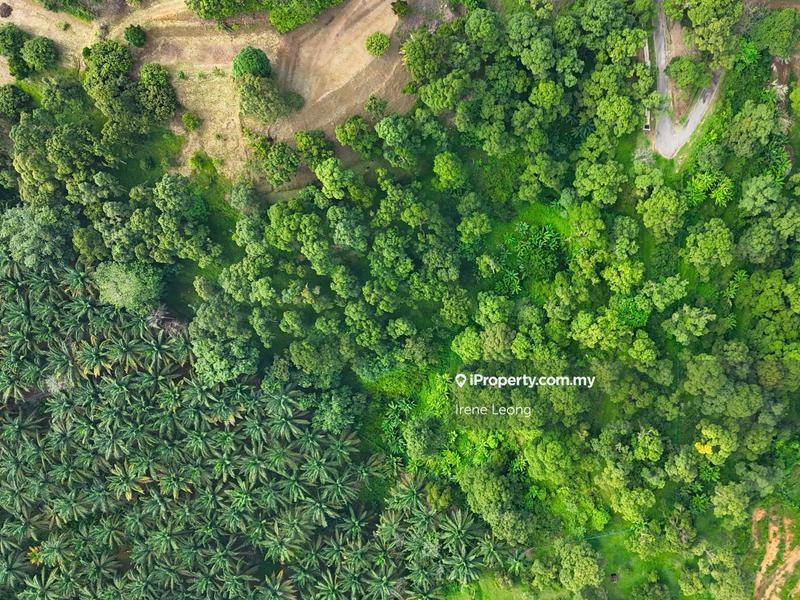 Agricultural Land for Sale in Karak, Pahang by Irene Leong - iProperty.com.my