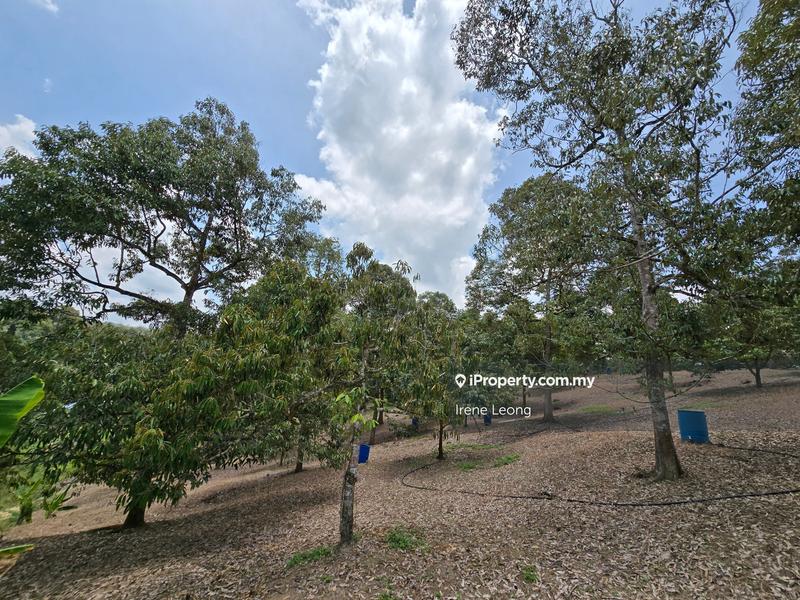 Agricultural Land for Sale in Karak, Pahang by Irene Leong - iProperty.com.my