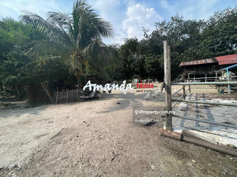 For Sale - Kambing peliharaan di Bandar Baharu