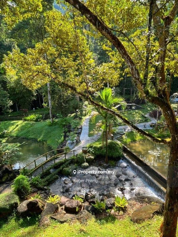 Hotel / Resort for Sale in Taiping, Ipoh, Perak Hotel Resort, Taiping by Roger Phang - iProperty.com.my