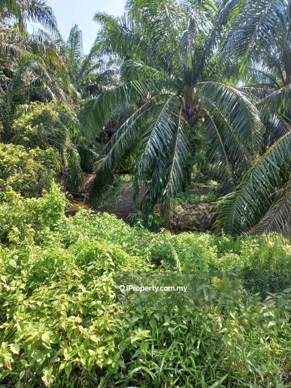 Commercial Land for Sale in KUALA SELANGOR, Kuala Selangor by Abdul Shukor - iProperty.com.my
