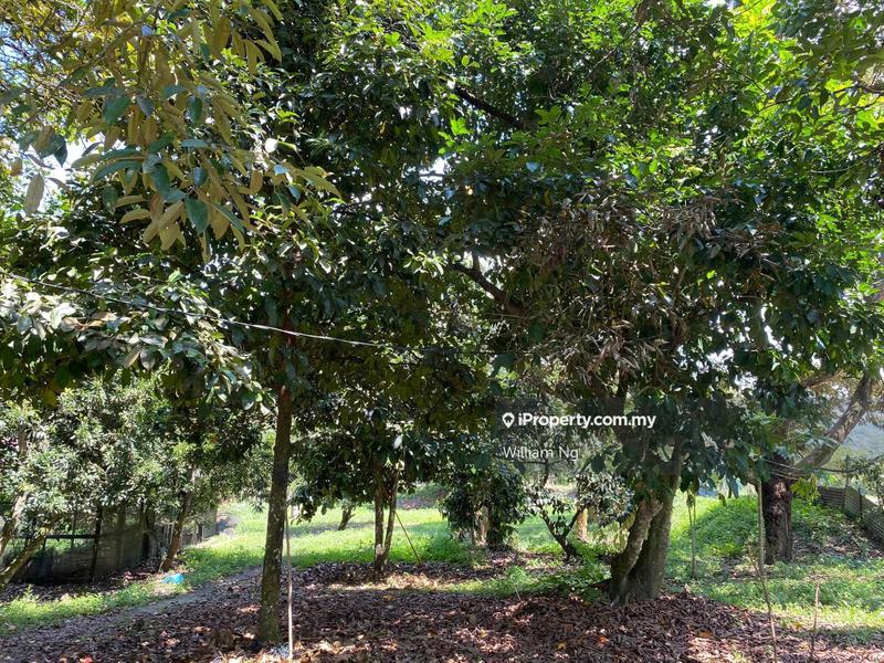 Agricultural Land for Sale in Taman Jelebu, Kuala Klawang by William Ng - iProperty.com.my