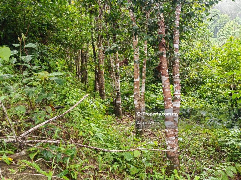 Tanah Pertanian untuk Dijual di Jalan Kota Bharu, Gua Musang, Kuala Krai, Kelantan, Gua Musang oleh Jason Wong - iProperty.com.my