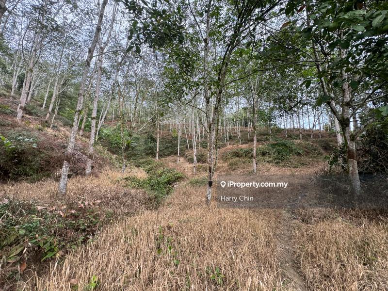 Agricultural Land for Sale in Telemong,Karak, Bentong by Harry Chin - iProperty.com.my