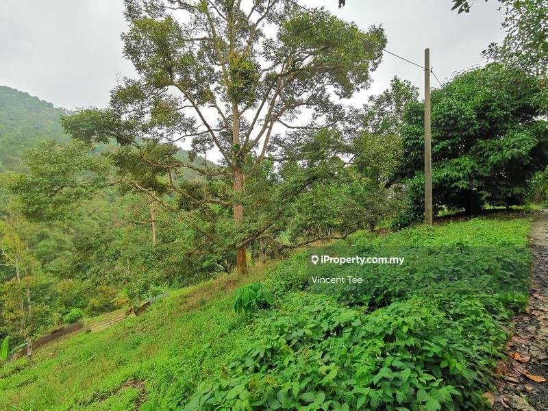 Tanah Pertanian untuk Dijual di Bukit Relau, Balik Pulau oleh Vincent Tee - iProperty.com.my