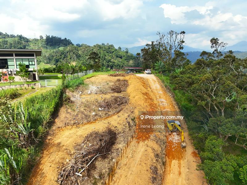 Agricultural Land for Sale in Bukit Tinggi, Bentong by Irene Leong - iProperty.com.my