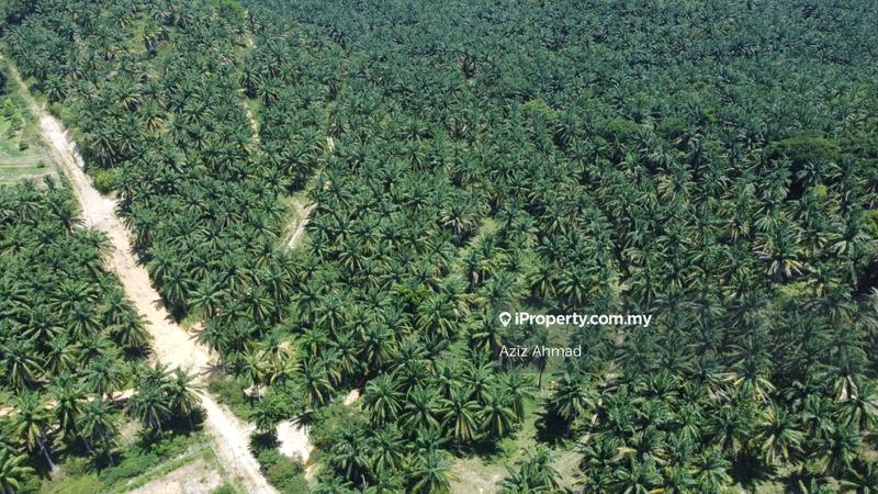 Agricultural Land for Sale in Rembau, Rembau by Aziz Ahmad - iProperty.com.my