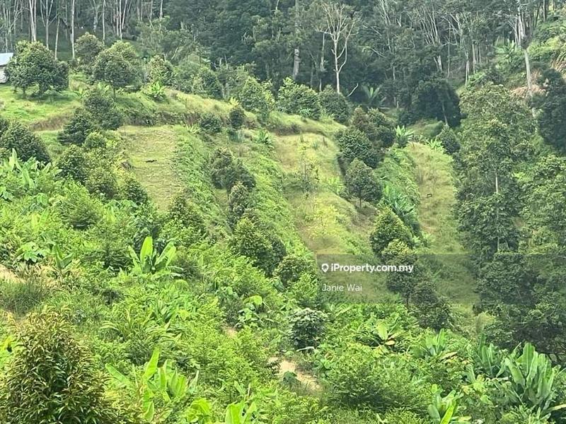 Tanah Pertanian untuk Dijual di Taman Jelebu, Kuala Klawang oleh Janie Wai - iProperty.com.my