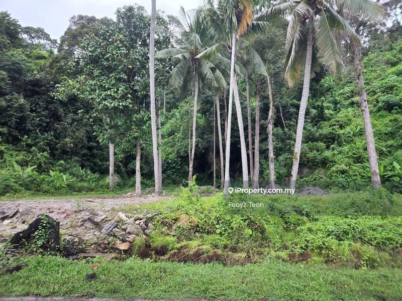 For Sale - Agricultural or Development Land, Jalan Teluk Tempoyak, Bayan Lepas, Penang