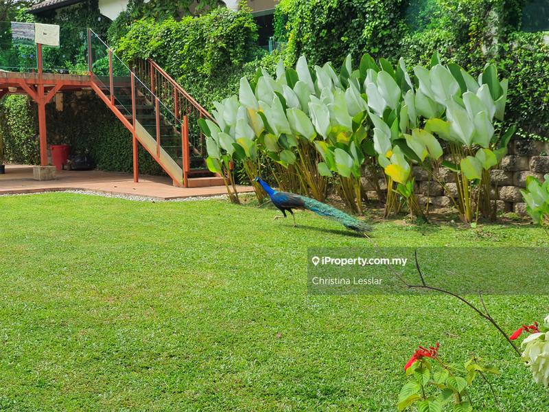 Bungalow House for Sale in Ampang Jaya, Ampang by Christina Lesslar - iProperty.com.my