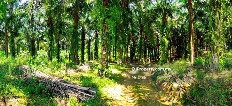 Tanah Pertanian untuk Dijual di Kuala Kubu Bharu, Kerling, (6 Acres), Kerling oleh Mr Chai - iProperty.com.my