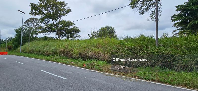 Agricultural Land for Sale in Bukit Banang, Batu Pahat by Ling Yean - iProperty.com.my