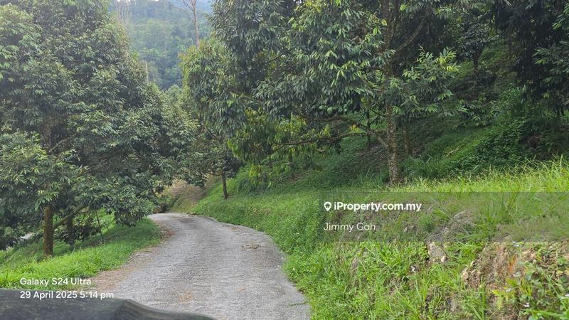 Tanah Pertanian untuk Dijual di Kampung Sungai Tekali, Hulu Langat oleh Jimmy Goh - iProperty.com.my