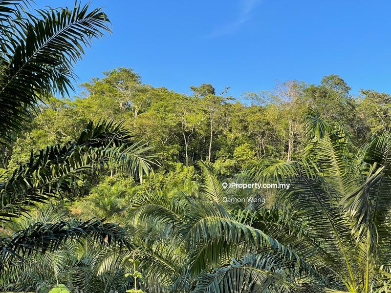 Tanah Pertanian untuk Dijual di Dong, Raub oleh Damon Wong - iProperty.com.my