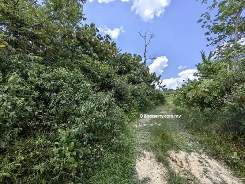 Agricultural Land for Sale in Bandar Lipis, Kuala Lipis by Vincent Tee - iProperty.com.my