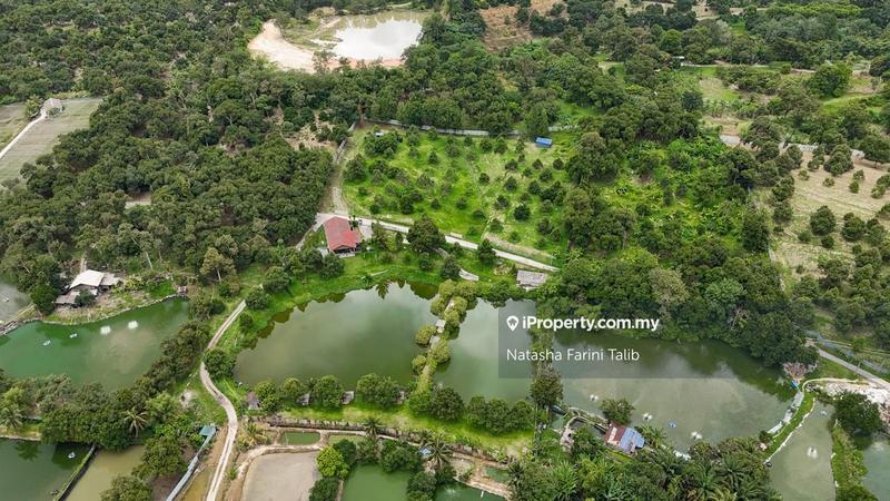 Tanah Pertanian untuk Dijual di Hulu Langat, Selangor oleh Natasha Farini Talib - iProperty.com.my