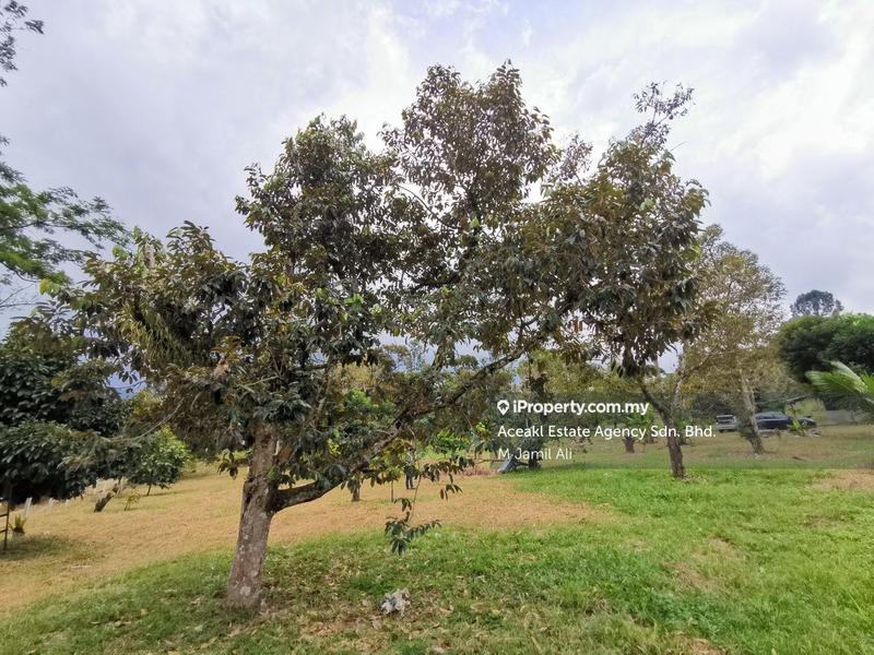 For Sale - Kerling Kuala Kubu Bharu