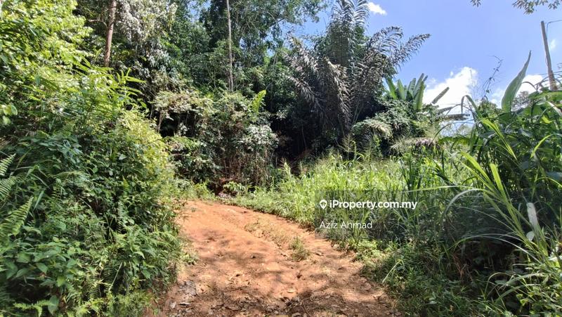 Agricultural Land for Sale in Kampung Sungai Lui, Hulu Langat by Aziz Ahmad - iProperty.com.my