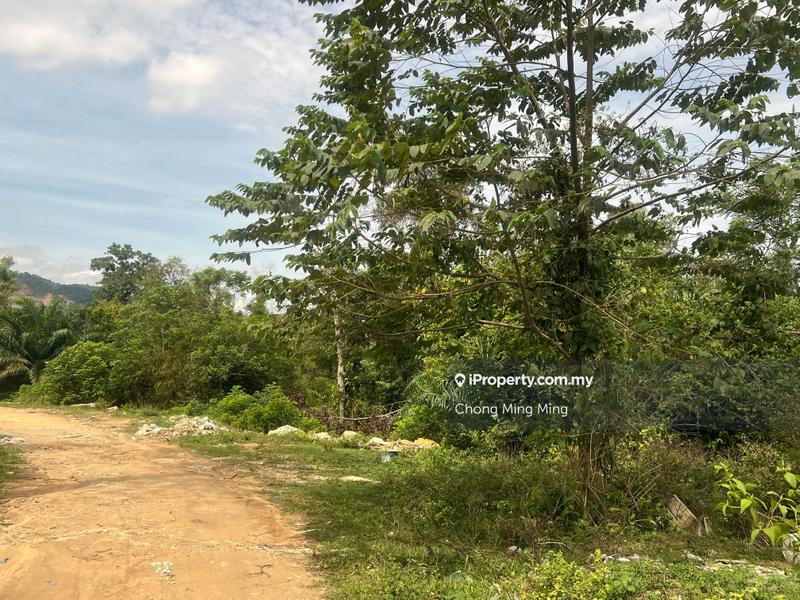 Agricultural Land for Sale in Pajam, Mantin by Chong Ming Ming - iProperty.com.my
