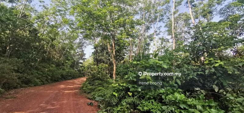 For Sale - 800 Acres Mentakab Agri Leaseland For Sale
