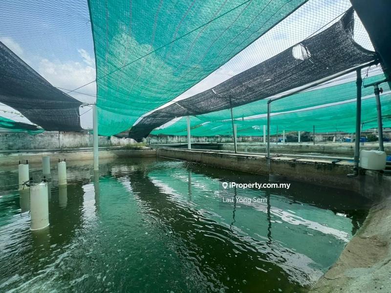 3-storey Terraced House for Sale in Bedong, Bedong by Lau Yong Sern - iProperty.com.my