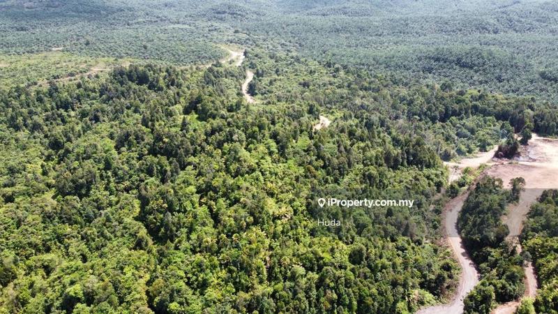 Agricultural Land for Sale in Kuala Rompin, Pahang by Huda - iProperty.com.my