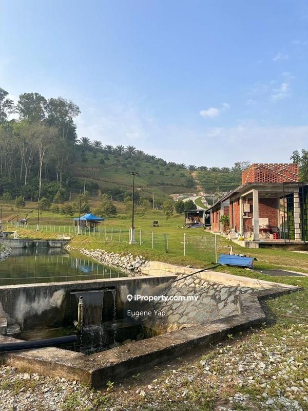 Agricultural Land for Sale in Serendah, Rawang by Eugene Yap - iProperty.com.my