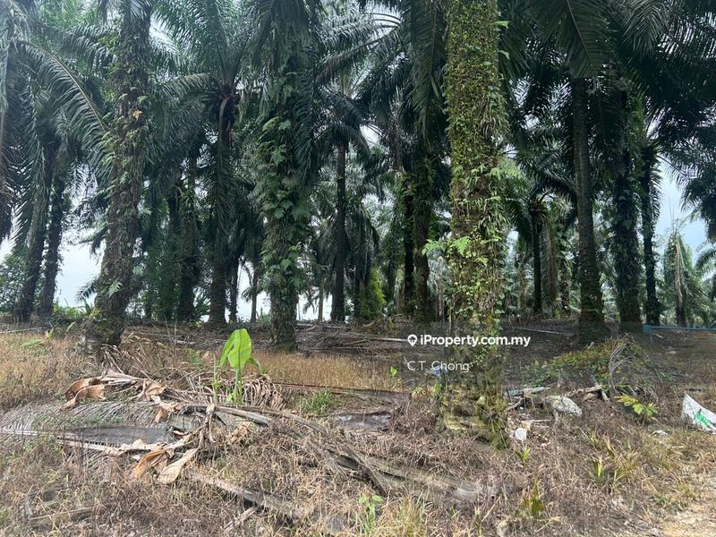 For Sale - Kulai