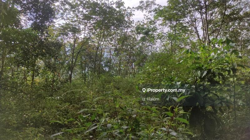 Tanah Pertanian untuk Dijual di hulu rening, Batang Kali oleh Iz Hakim - iProperty.com.my