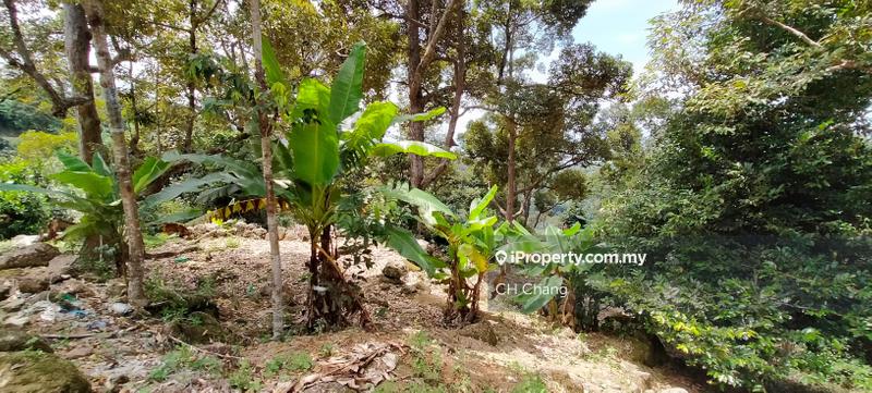 Tanah Pertanian untuk Dijual di Balik Pulau, George Town oleh CH Chang - iProperty.com.my