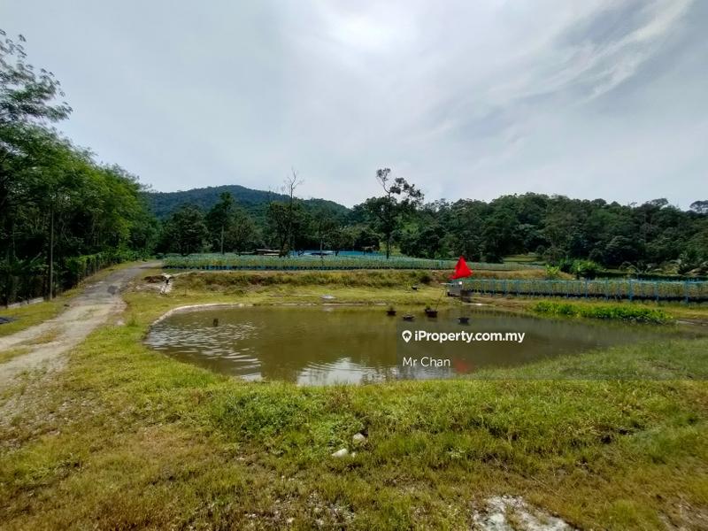 Tanah Pertanian untuk Dijual di Hulu Semenyih, Semenyih oleh Mr Chan - iProperty.com.my