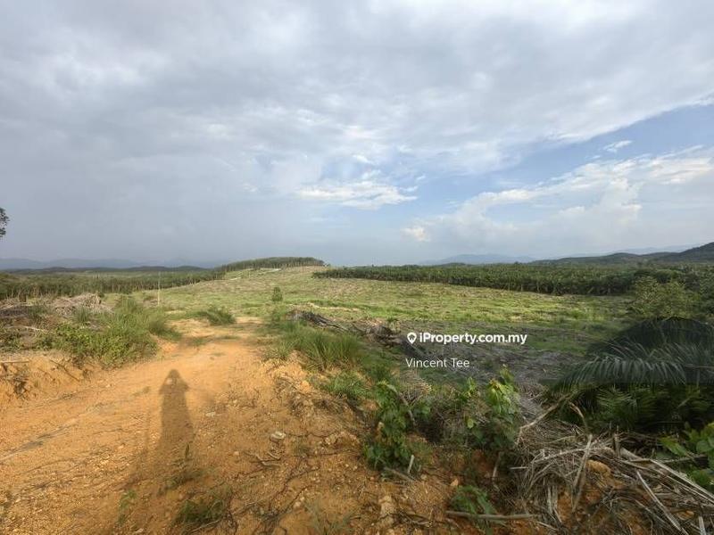 For Sale - 41 Acres Freehold Vacant Agriculture Land Simpang Pertang Jelebu