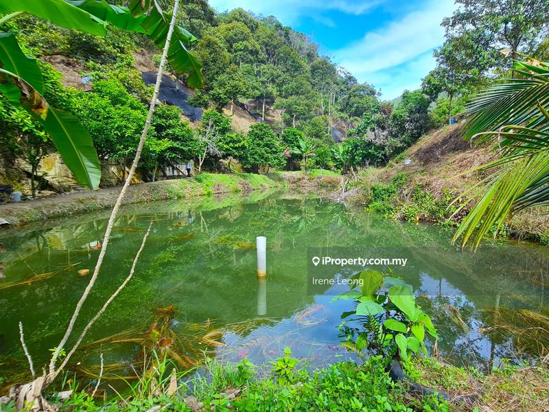 Agricultural Land for Sale in Bentong, Pahang by Irene Leong - iProperty.com.my