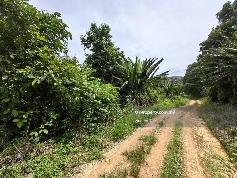 Agricultural Land for Sale in Bandar Lipis, Kuala Lipis by Vincent Tee - iProperty.com.my