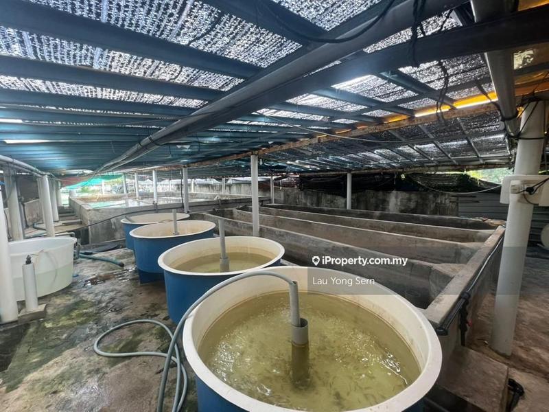 3-storey Terraced House for Sale in Bedong, Bedong by Lau Yong Sern - iProperty.com.my