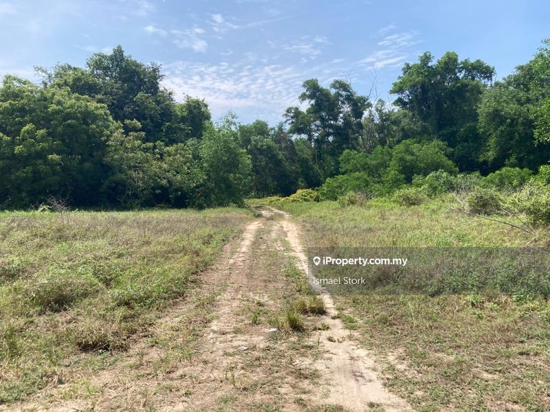 Agricultural Land for Sale in Kampung Sungai Ular, Sungai Karang by Ismael Stork - iProperty.com.my