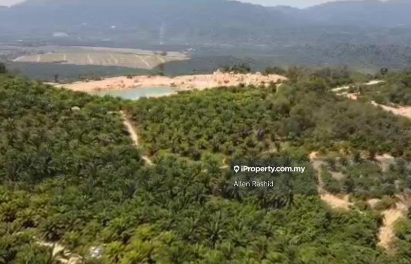 For Sale - Agricultural Land Repah, Tampin