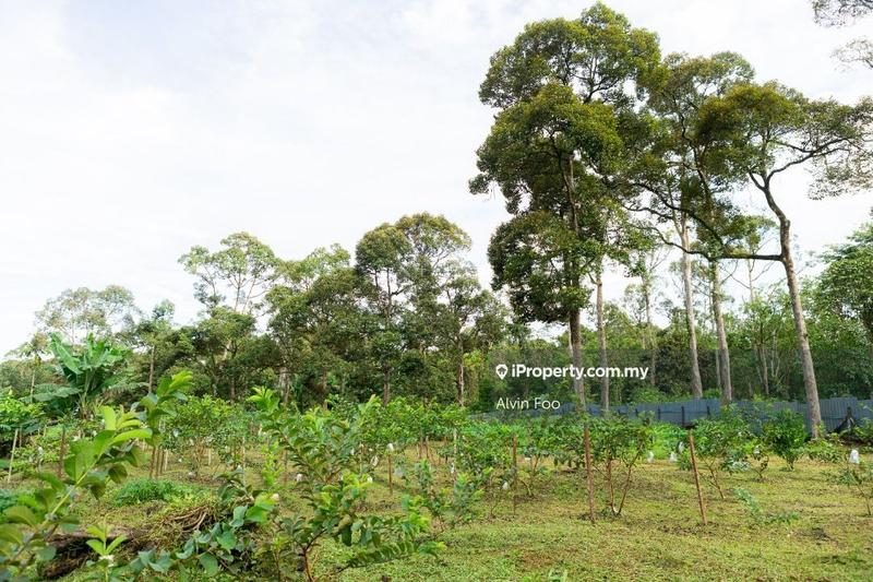 Agricultural Land for Sale in Agriculture Land @Changkat Jering Taiping Perak, Taiping by Alvin Foo - iProperty.com.my