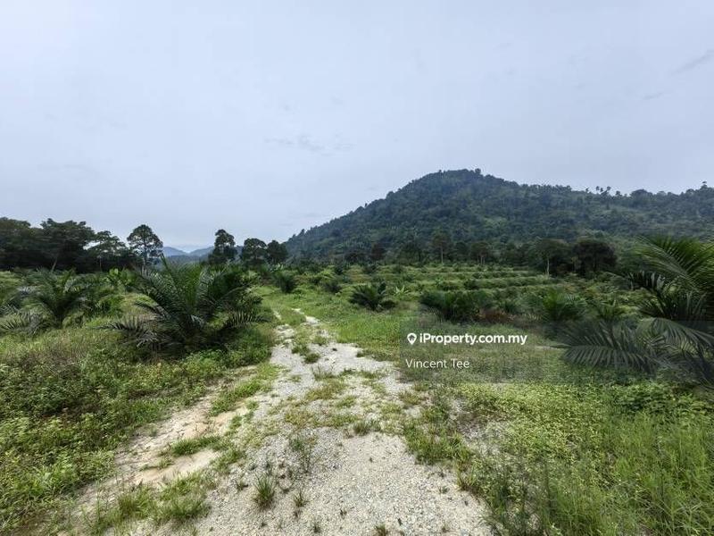 Tanah Pertanian untuk Dijual di Kampung Renal, Kuala Klawang oleh Vincent Tee - iProperty.com.my
