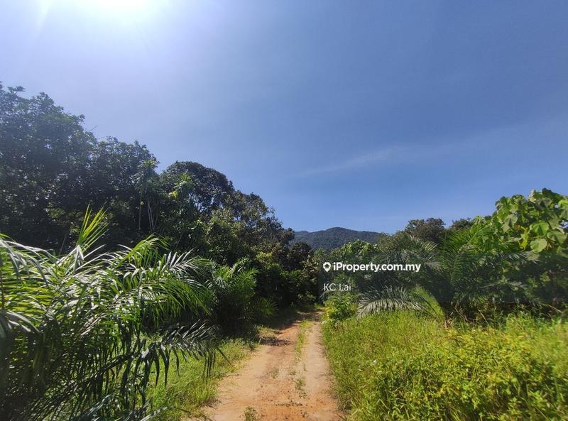 Tanah Pertanian untuk Dijual di Seremban Land 60 acres, Seremban oleh KC Lai - iProperty.com.my