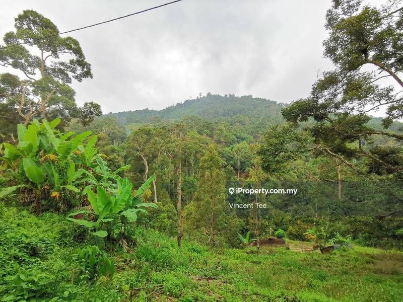 Tanah Pertanian untuk Dijual di Bukit Relau, Balik Pulau oleh Vincent Tee - iProperty.com.my