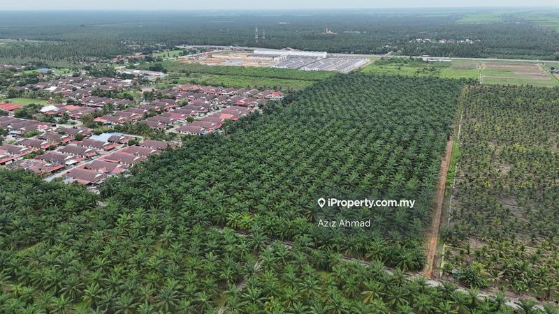 Agricultural Land for Sale in 3ayxd, Sabak Bernam by Aziz Ahmad - iProperty.com.my